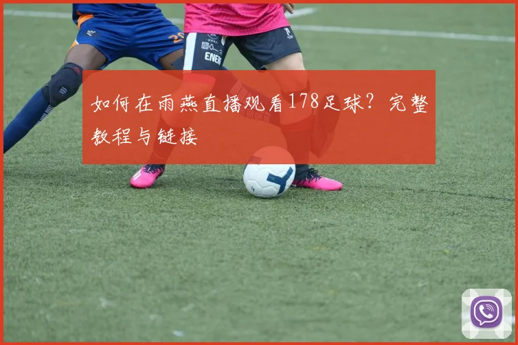 如何在雨燕直播观看178足球？完整教程与链接