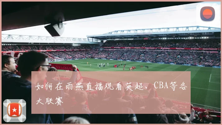 如何在雨燕直播观看英超、CBA等各大联赛