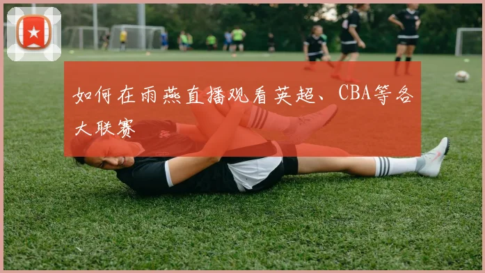 如何在雨燕直播观看英超、CBA等各大联赛
