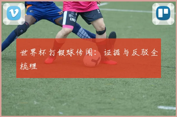 世界杯打假球传闻：证据与反驳全梳理