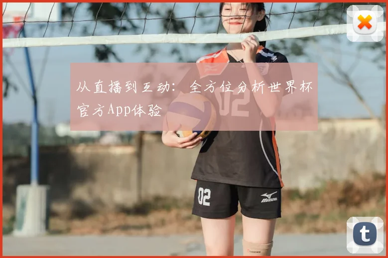 从直播到互动：全方位分析世界杯官方App体验