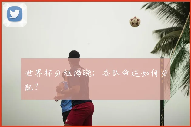 世界杯分组揭晓：各队命运如何分配？