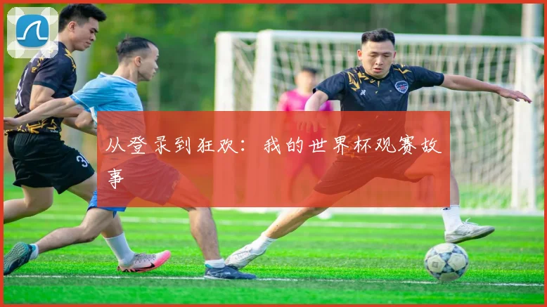 从登录到狂欢：我的世界杯观赛故事